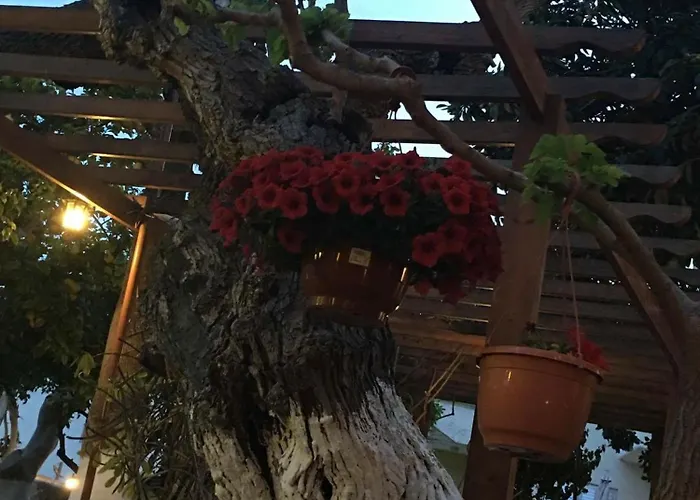 The Bunch Of Grapes Estalagem Pissouri