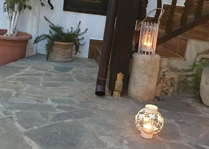 The Bunch Of Grapes Pissouri