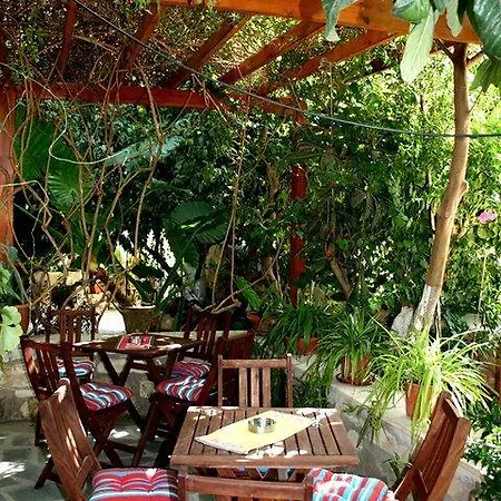 Mini-hôtel The Bunch Of Grapes Pissoúri