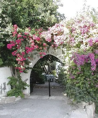 Locanda The Bunch Of Grapes Pissouri