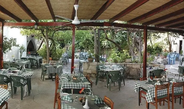 The Bunch Of Grapes Pissouri