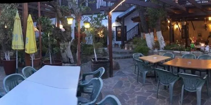 The Bunch Of Grapes 2*