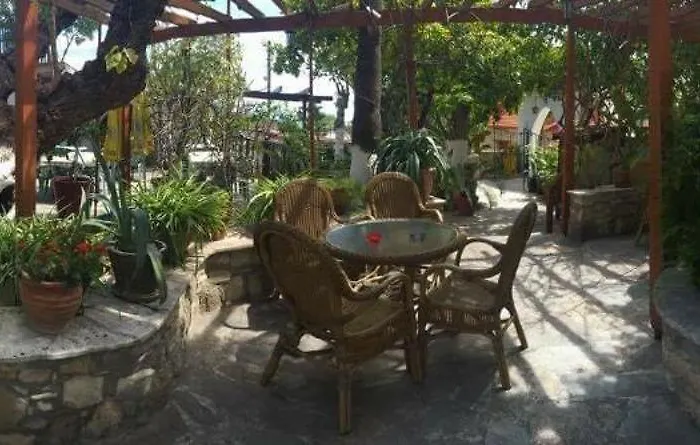 The Bunch Of Grapes Pissouri