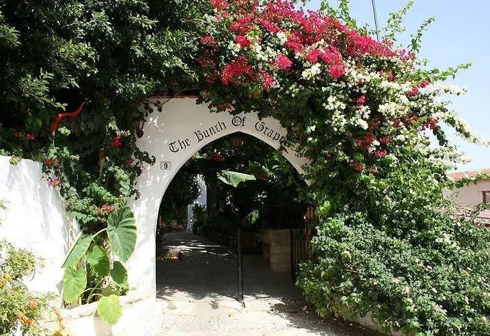 The Bunch Of Grapes Pissouri