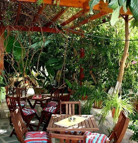 Locanda The Bunch Of Grapes Pissouri